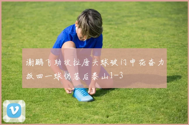 谢鹏飞助攻拉唐头球破门申花奋力扳回一球仍落后泰山1-3